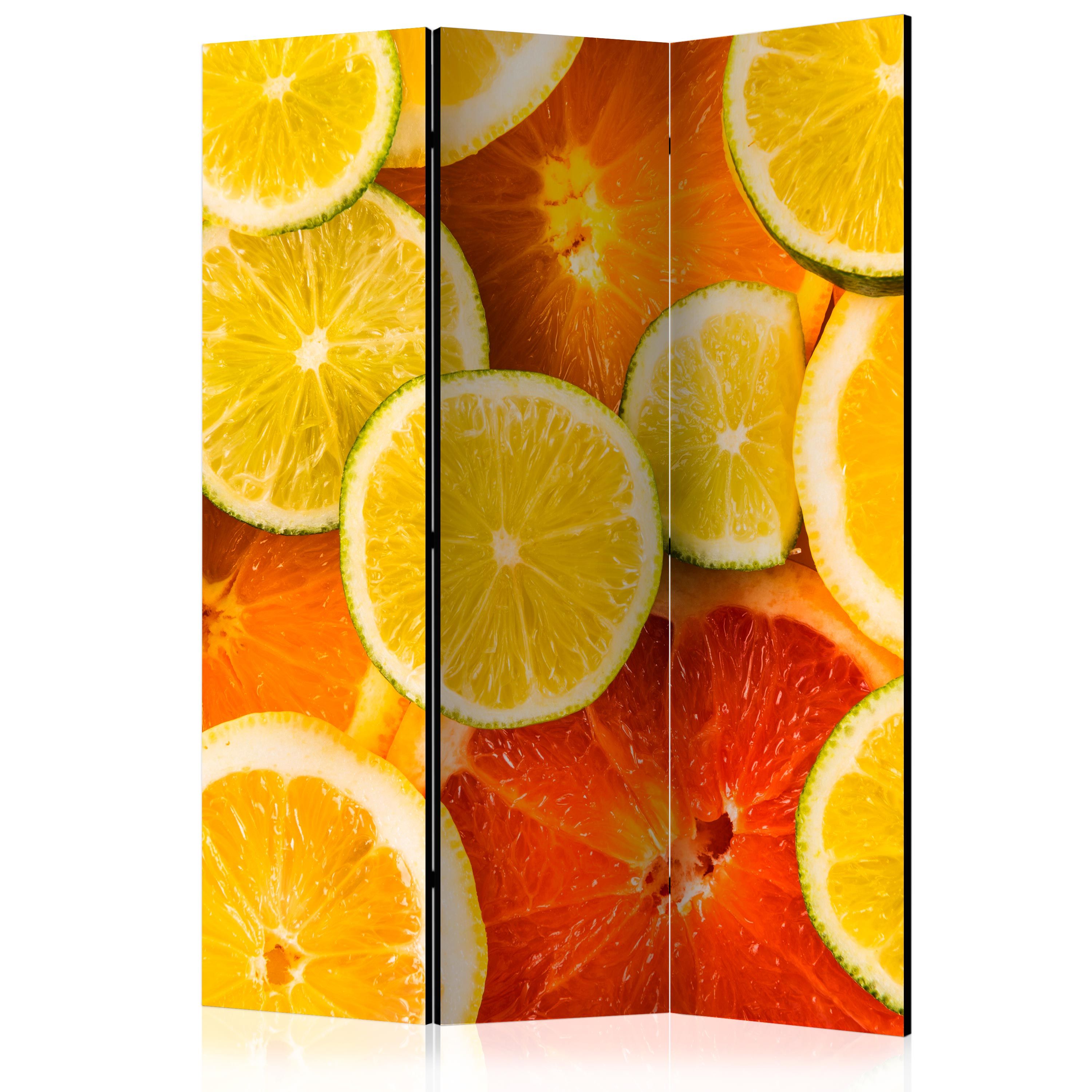 Artgeist Paraván - Citrus fruits [Room Dividers]