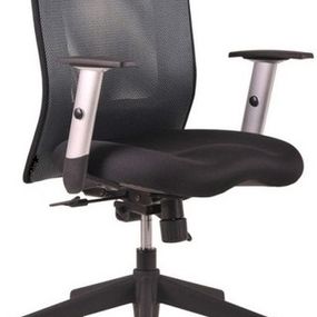 kancelárska stolička LEXA bez podhlavníka, farba antracit, vzorkový kus Rožnov