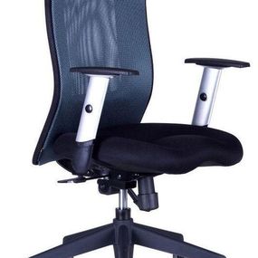 OFFICE PRO -  OFFICE PRO Kancelárska stolička CALYPSO XL BP antracit šedá