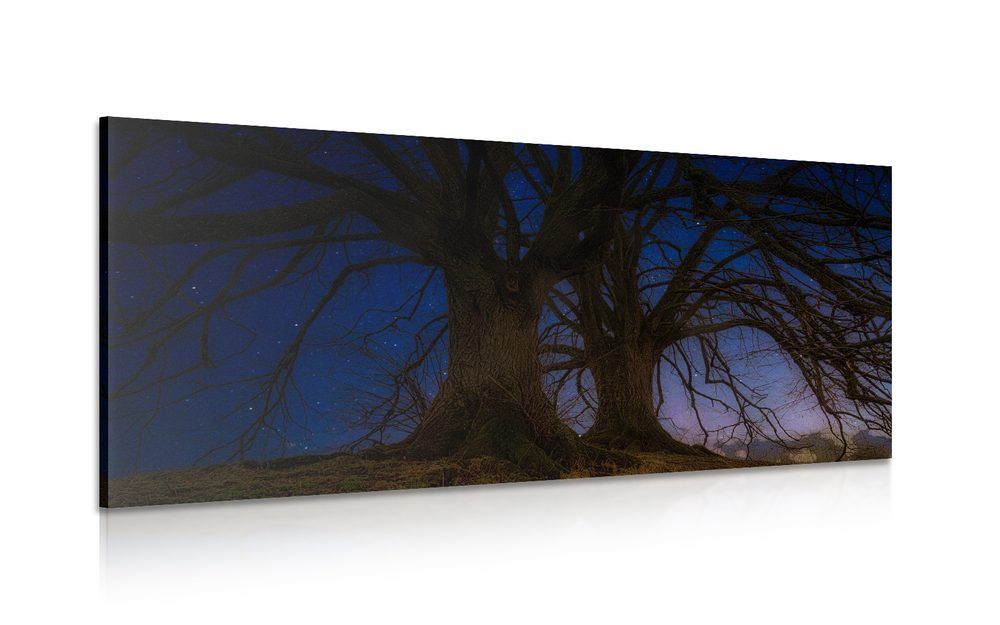 Obraz stromy v nočnej krajine - 120x60