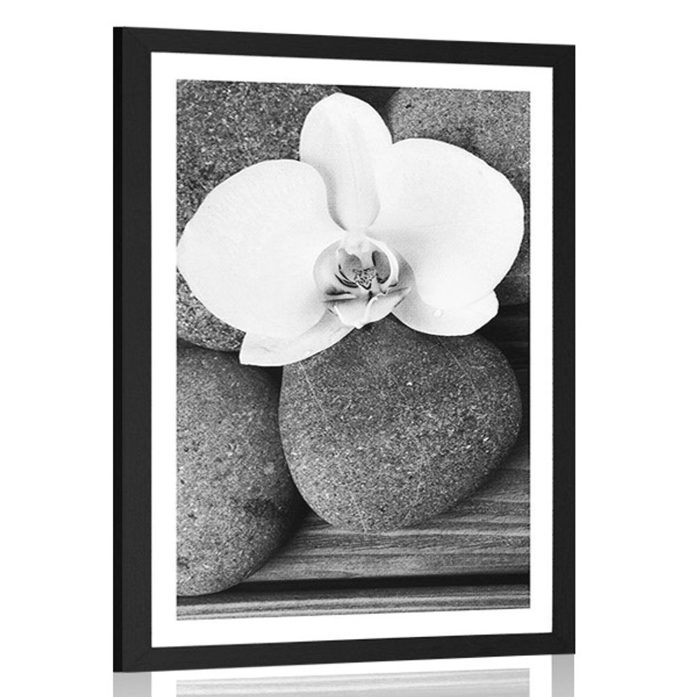 Plagát s paspartou wellness kamene a orchidea na drevenom pozadí v čiernobielom prevedení - 20x30 black