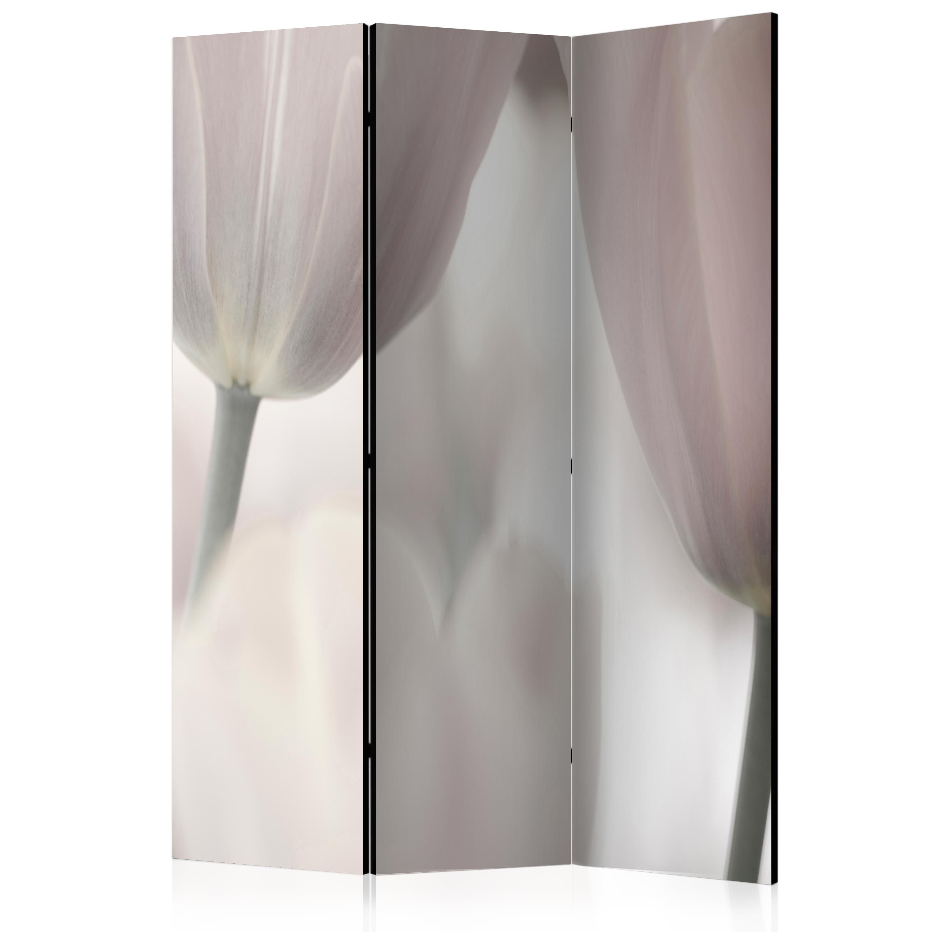 Artgeist Paraván - Tulips fine art - black and white [Room Dividers]