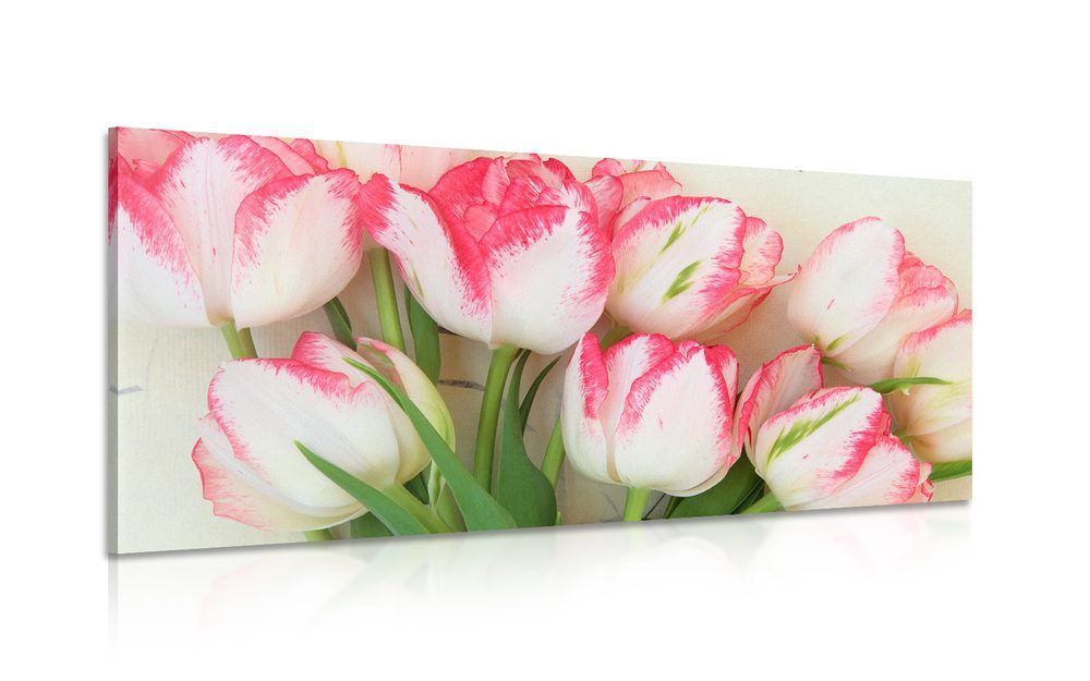Obraz tulipány v jarnom nádychu