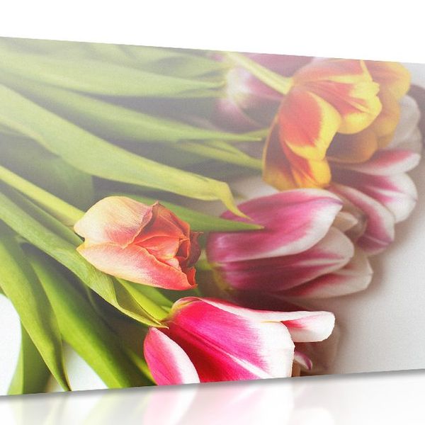 Obraz kytica tulipánov v pestrých farbách - 120x80