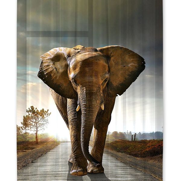 FCS L 7507 AG Design textilný foto záves obrazový Elephant - Slon FCSL 7507, veľkosť 140 x 245 cm
