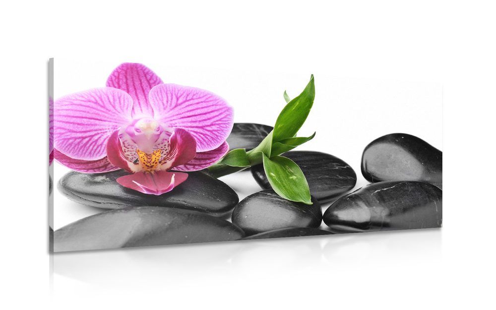 Obraz orchidea a masážne wellness kamene - 120x60