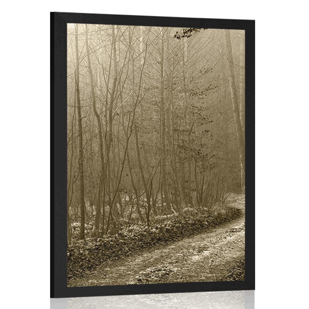 Plagát sépiová cestička do lesa - 40x60 black