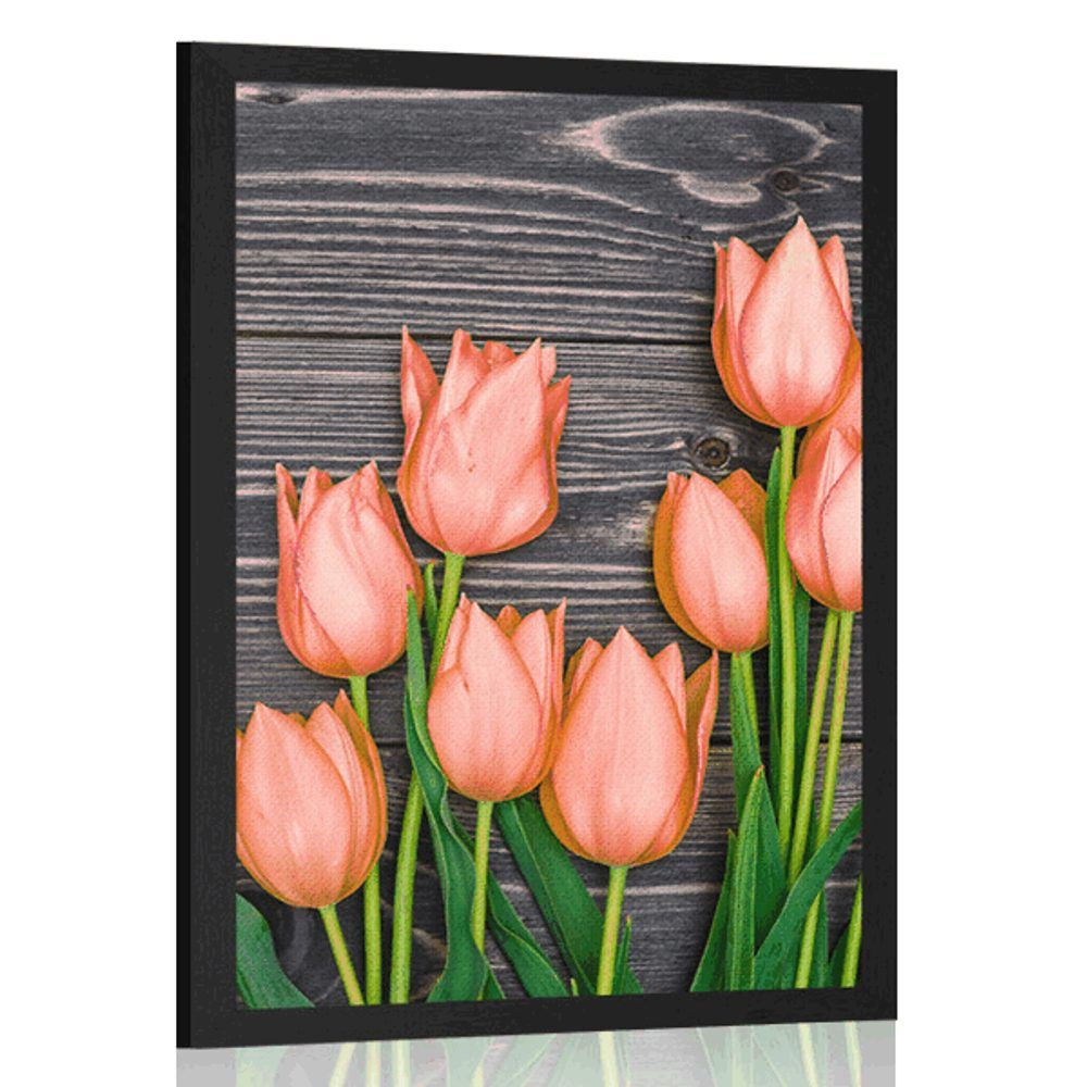 Plagát oranžové tulipány na drevenom podklade