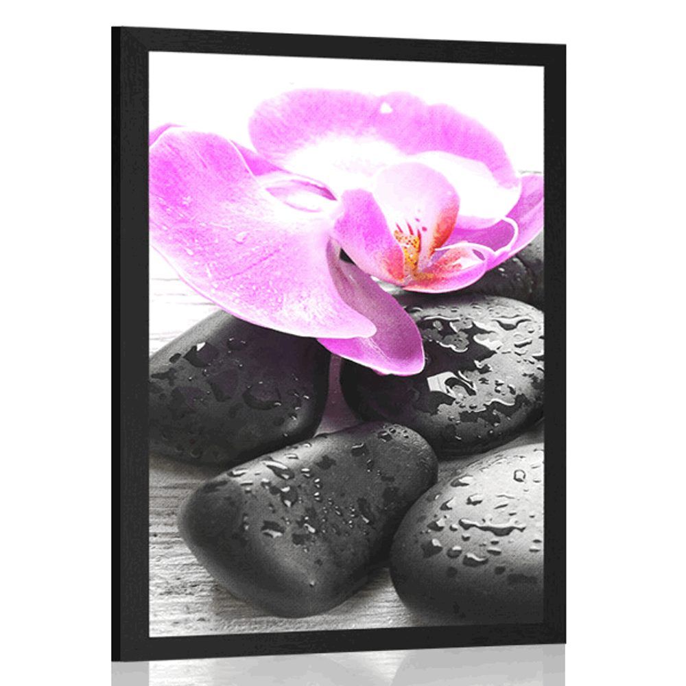 Plagát krásna súhra kameňov a orchidey - 40x60 black