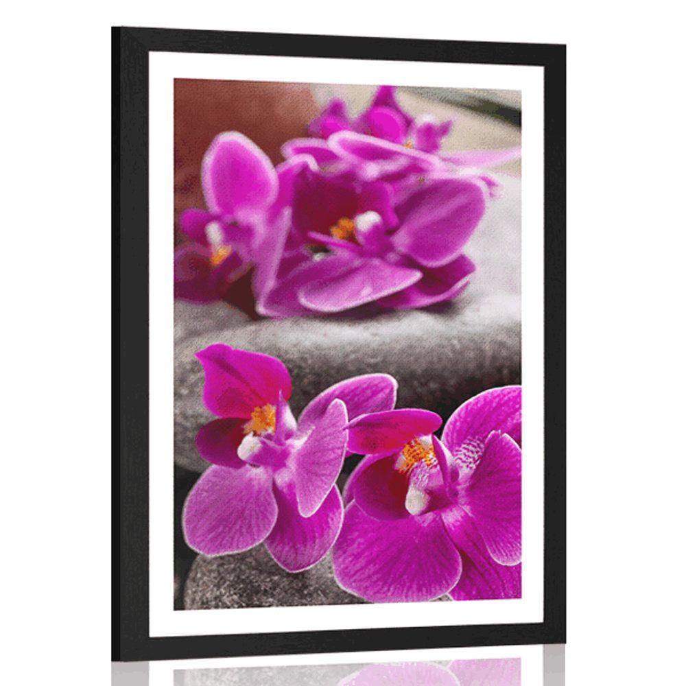 Plagát s paspartou nádherná orchidea a Zen kamene - 30x45 black