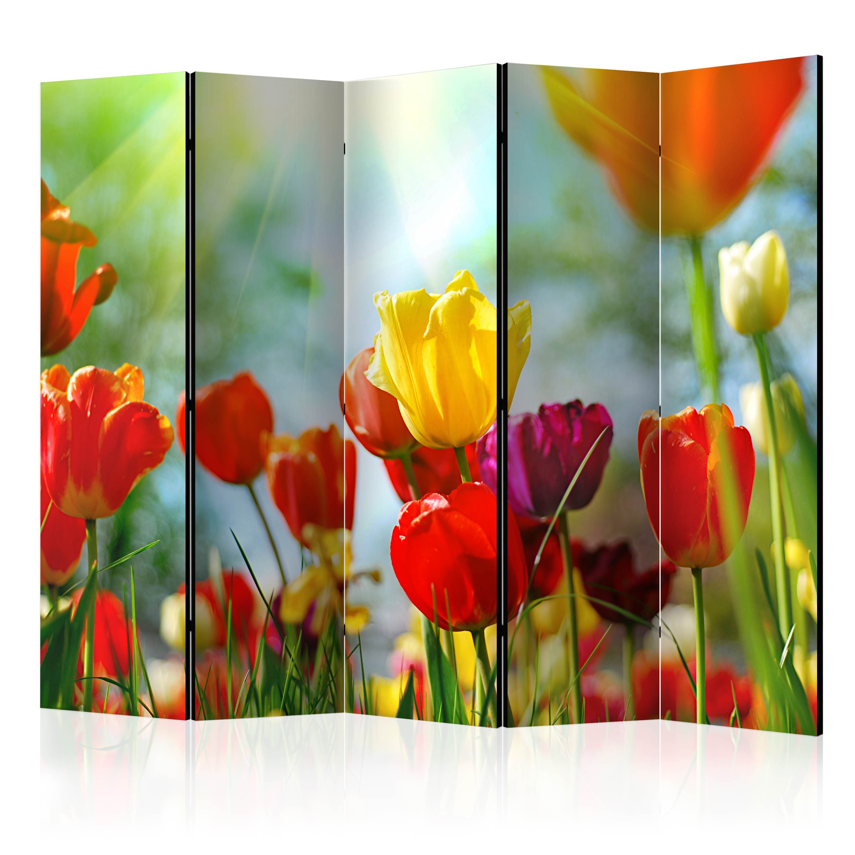 Artgeist Paraván - Spring Tulips II [Room Dividers]