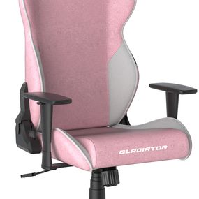 herná stolička DXRacer GLADIATOR GC/LGN23FBC/PW látková