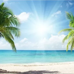 Obraz Karibik - Kokosové Palmy zs399