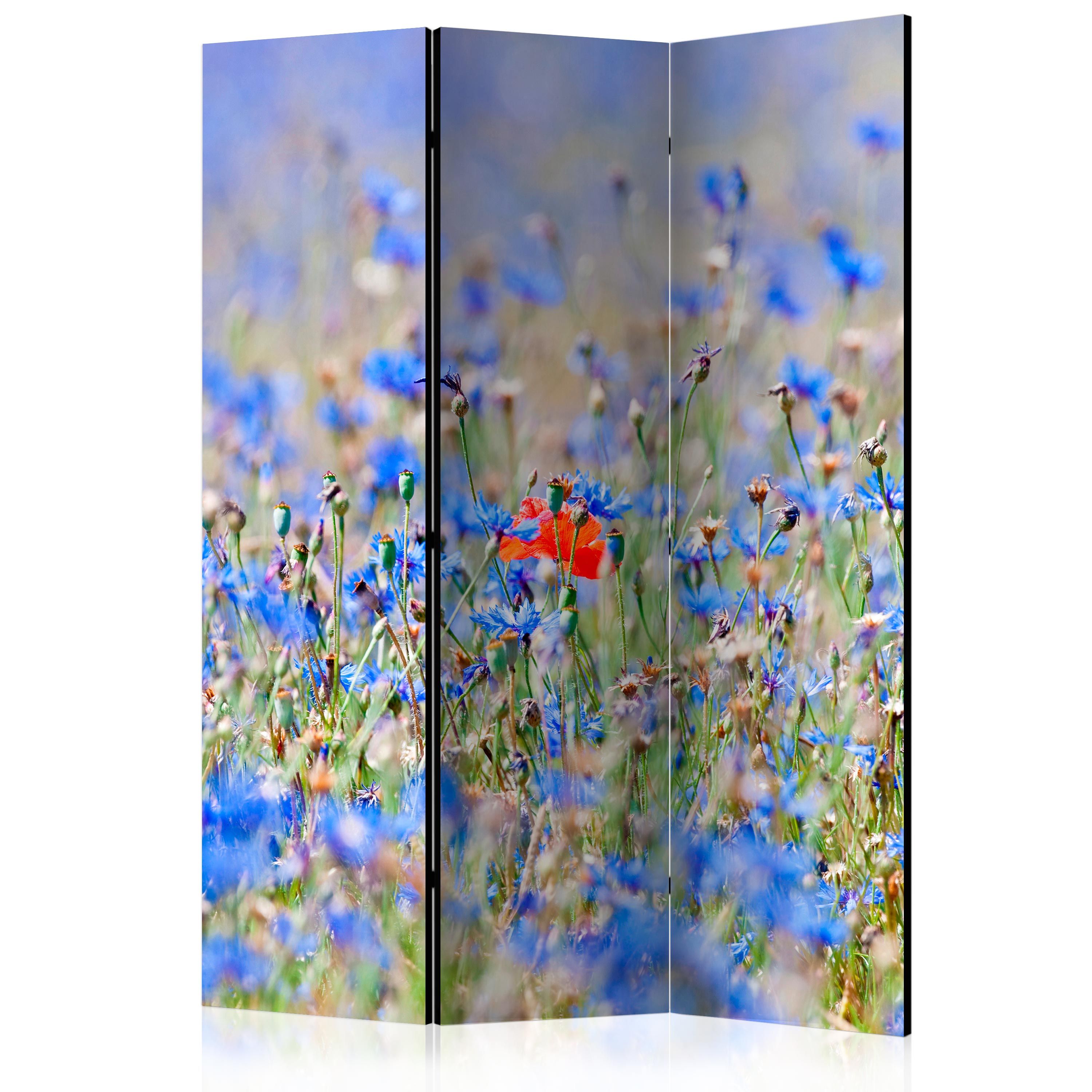 Artgeist Paraván - A sky-colored meadow - cornflowers [Room Dividers]