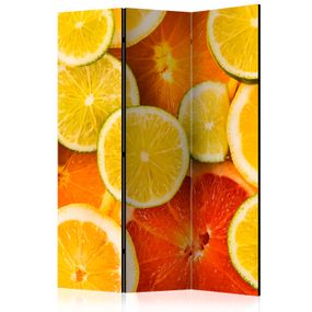 Artgeist Paraván - Citrus fruits [Room Dividers]