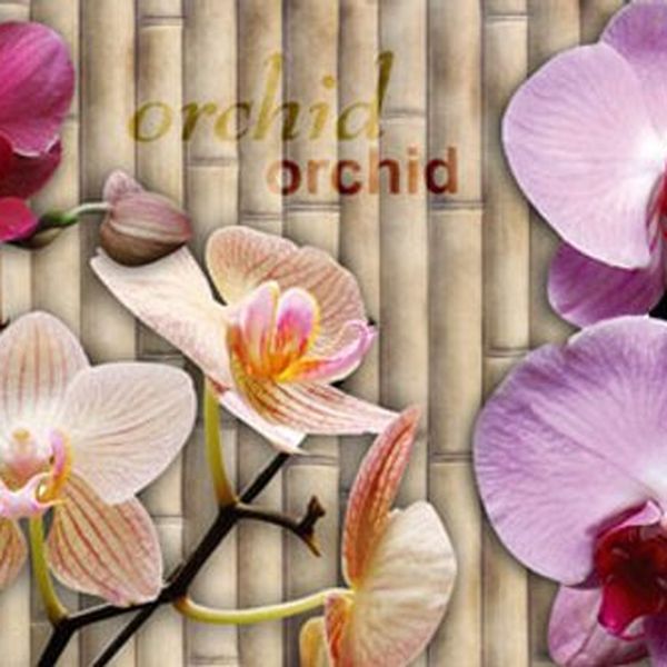 Samolepiaca fototapeta do kuchyne nádherná orchidea - 180x60