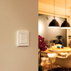 Eve Light Switch Smart Home nástenný vypínač, plast, P: 8.5 cm, L: 8.5 cm, K: 4.1cm