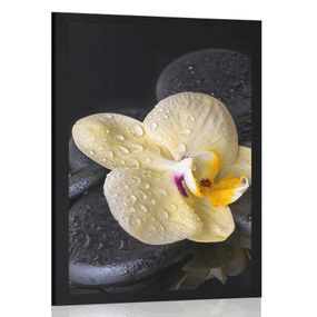 Plagát Zen kamene so žltou orchideou - 30x45 black