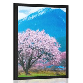 Plagát čarovný japonský strom - 40x60 silver