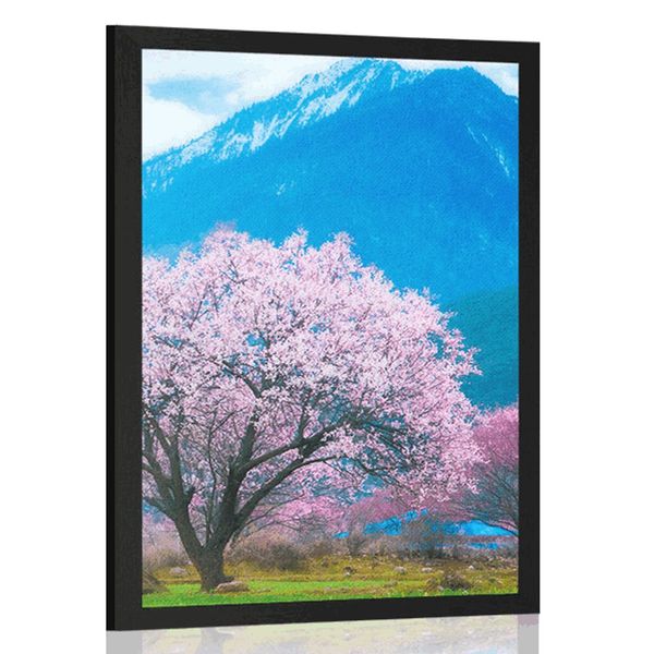 Plagát čarovný japonský strom - 40x60 white