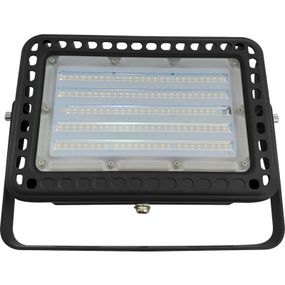 LED reflektor PROFI Extra 100W/5000K