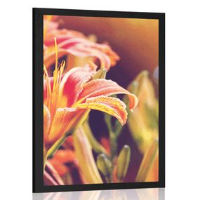 Plagát krásne kvitnúce kvety v záhrade - 40x60 black