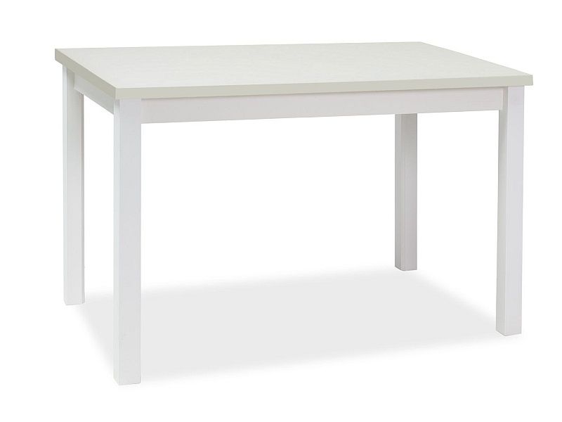 BONO jedálenský stôl 100x60 cm, biela matná