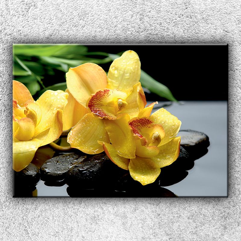 Foto na plátne Žltá orchidea na kameňoch 2 70x50 cm