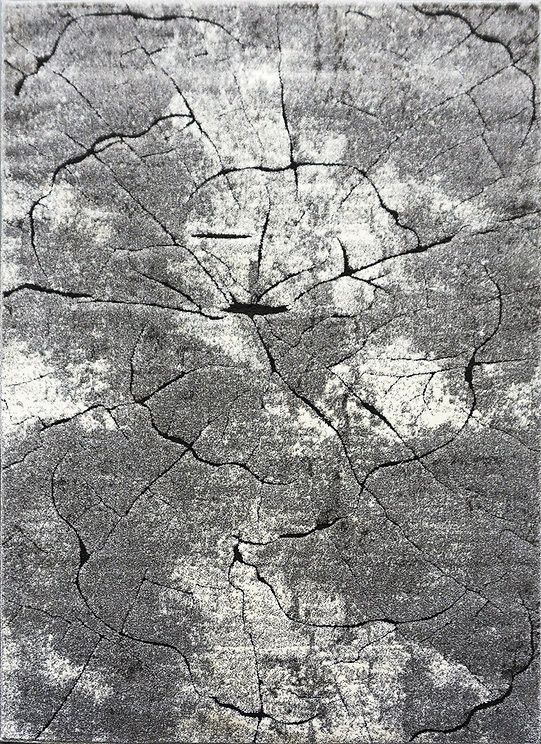Berfin Dywany Kusový koberec Miami 129 Grey - 280x370 cm