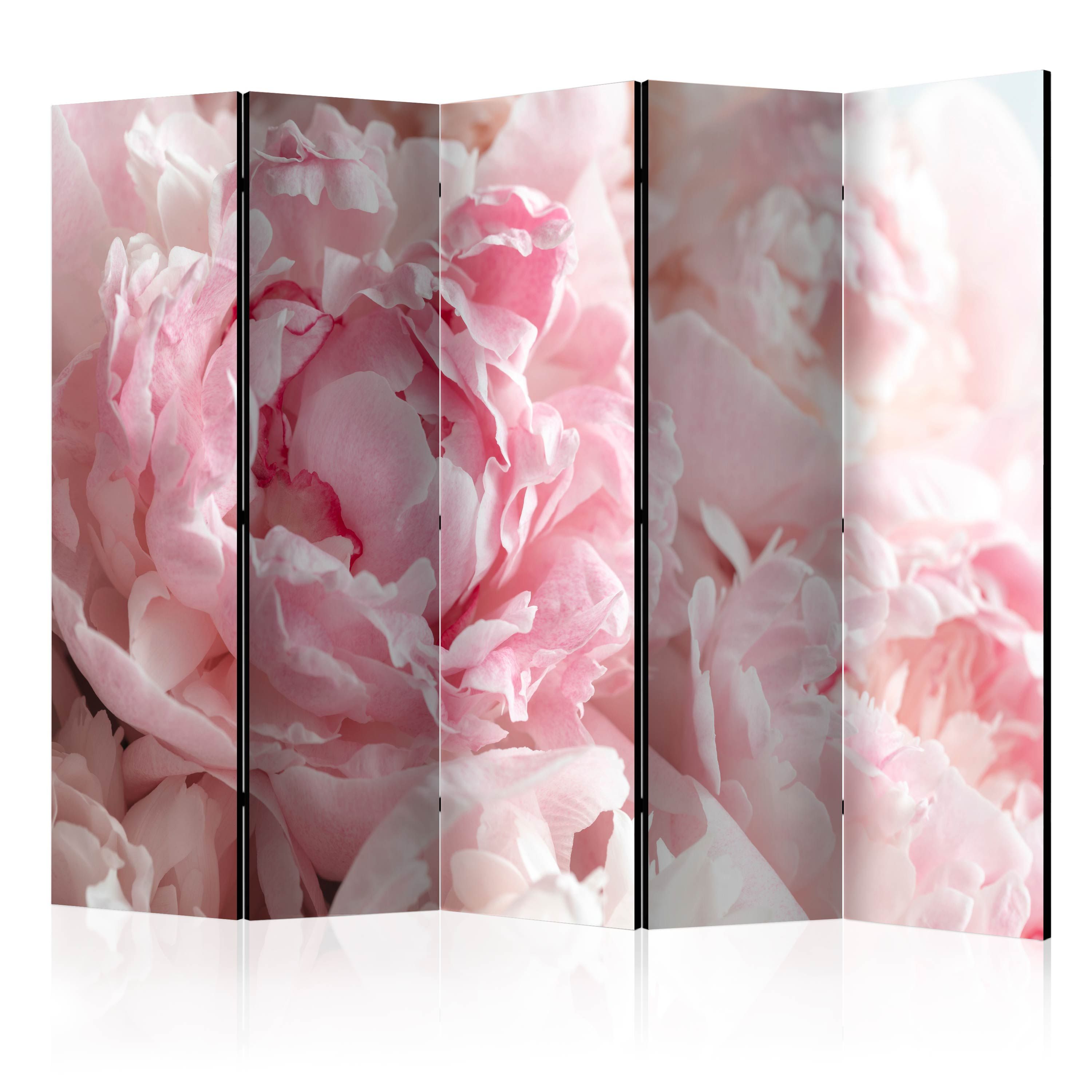 Artgeist Paraván - Sweet Peonies II [Room Dividers]