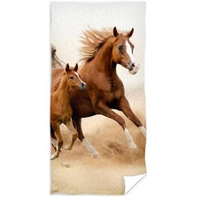 TipTrade (CZ) · Bavlnená plážová osuška Kôň ryzák a žriebä - 100% bavlna, froté s gramážou 300 gr./m² - 70 x 140 cm
