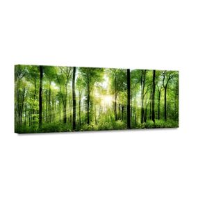 Obraz Styler Glasspik Nature Sunlight, 50 × 125 cm