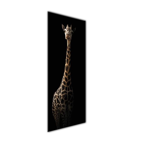 Obraz Styler Glas Animals Gira, 50 × 125 cm