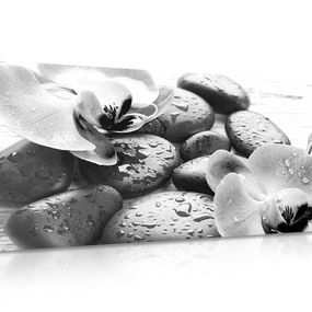 Obraz kúzelná súhra kameňov a orchidey v čiernobielom prevedení - 120x60