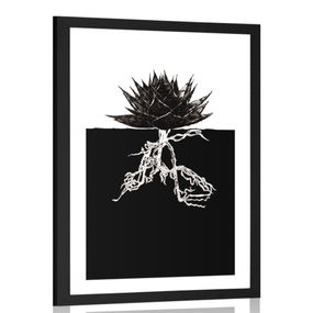 Plagát s paspartou nesmrteľnosť rastliny - 30x45 black