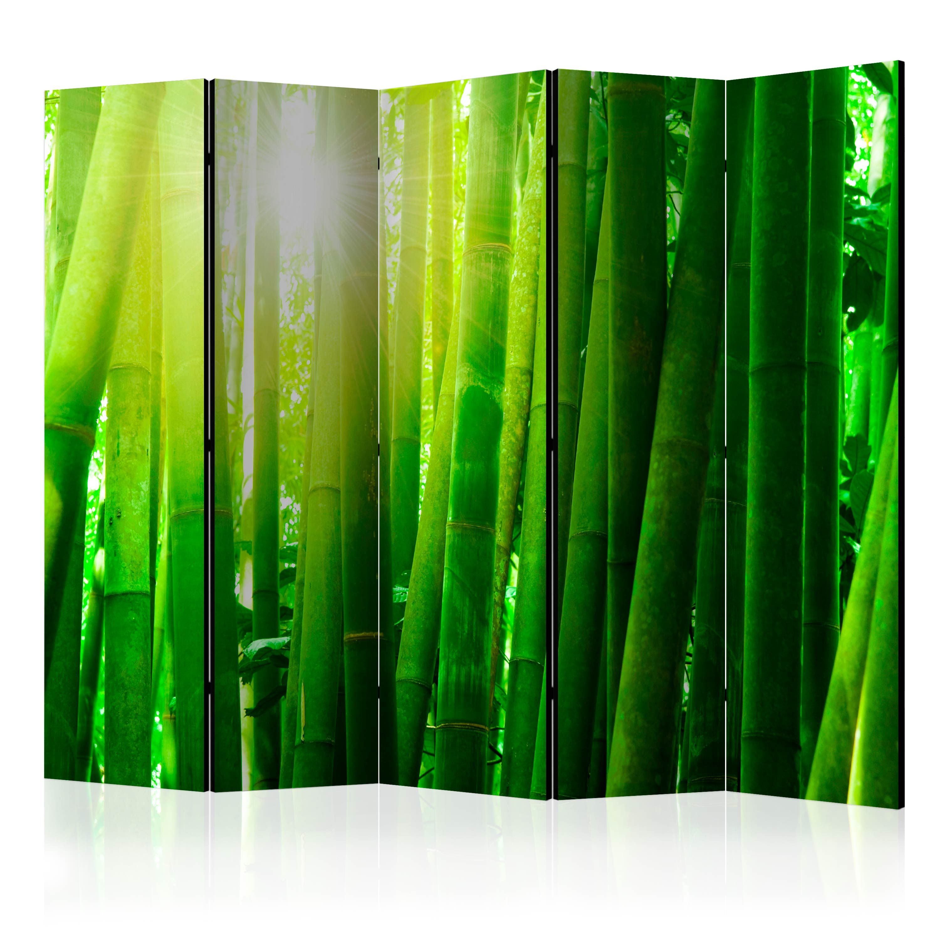 Artgeist Paraván - Sun and bamboo [Room Dividers]