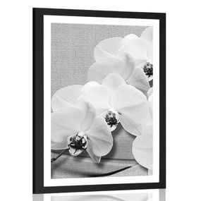 Plagát s paspartou orchidea na plátne v čiernobielom prevedení - 30x45 black