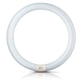 Philips G10q 32W 840 žiarivkový prst. Master Circular TL-E, G10q, Energialuokka: G