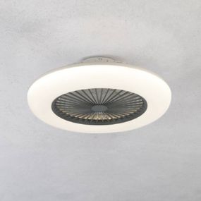 EGLO Stropný ventilátor Sayulita L s LED CCT biela/sivá, Obývacia izba / jedáleň, ABS, akryl, 12.6W, K: 20cm