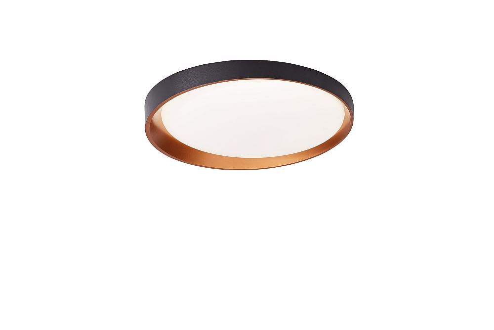 Moderné svietidlo Palnas stropné svietidlo LED Adel  61004563