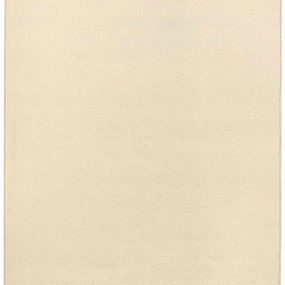 Hanse Home Collection koberce Kusový koberec Fancy 103003 Beige - béžový - 200x280 cm