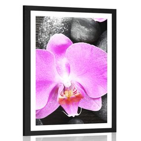 Plagát s paspartou nádherná orchidea a kamene - 60x90 black