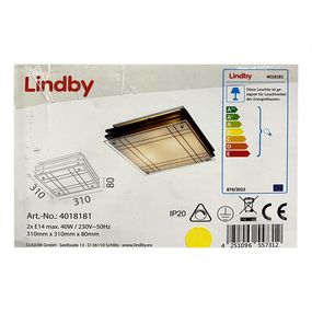 Lindby - Stropné svietidlo THEES 2xE14/40W/230V