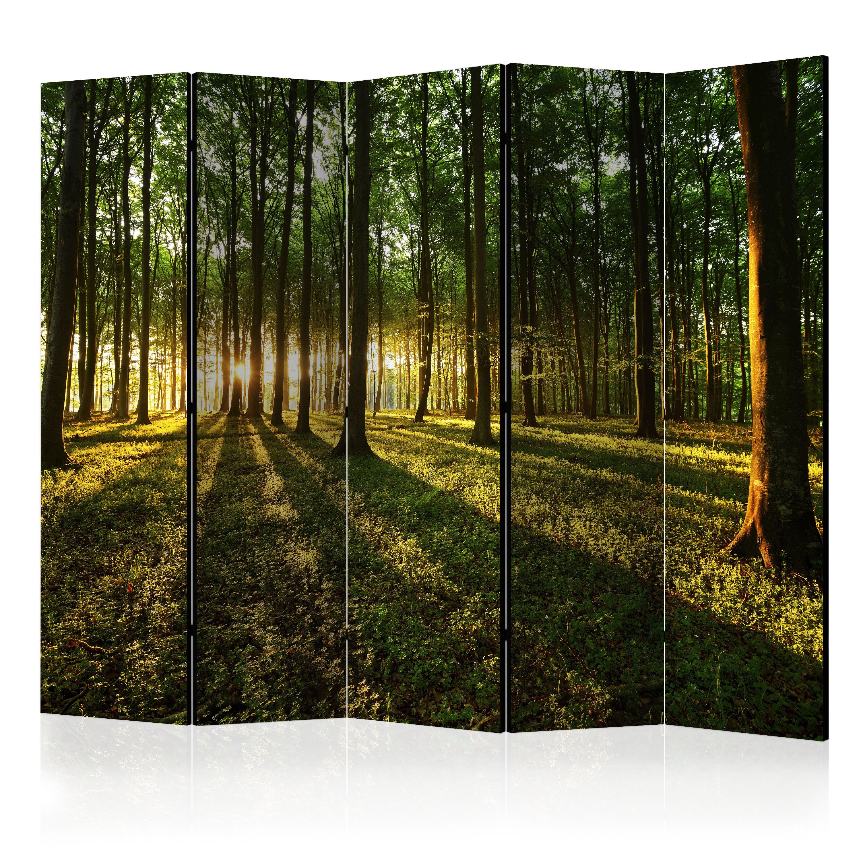 Artgeist Paraván - Morning in the Forest II [Room Dividers]