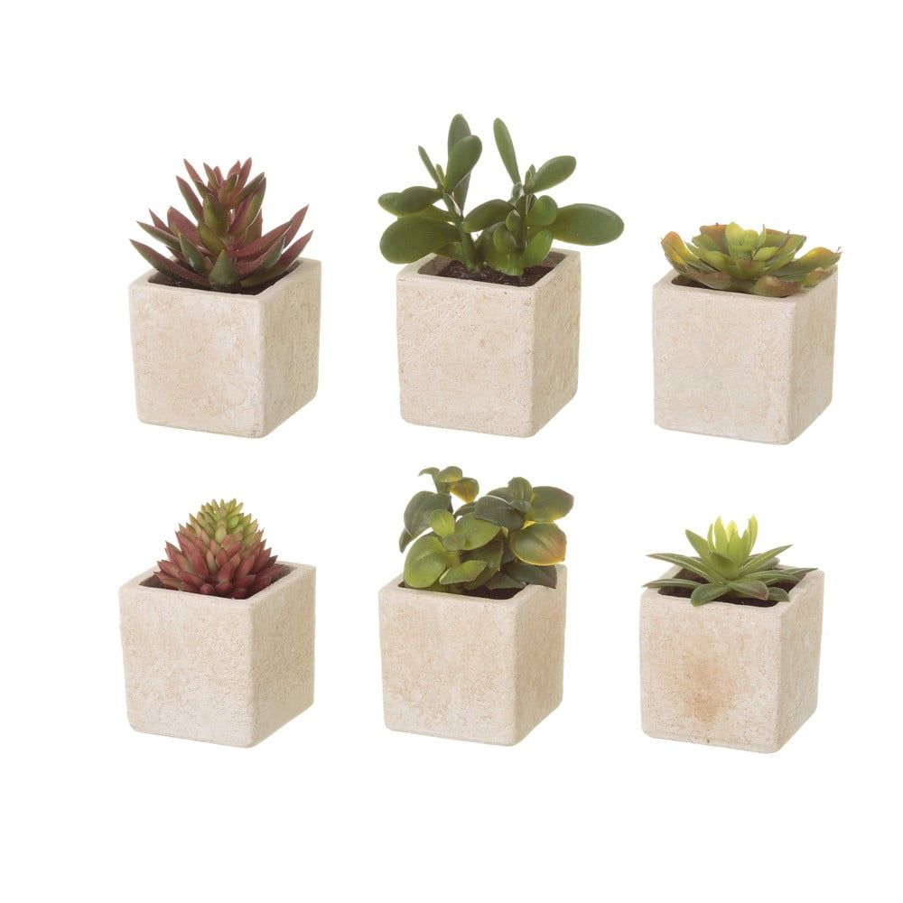 Umelé rastliny v súprave 6 ks (výška 9,5 cm) Cactus – Casa Selección