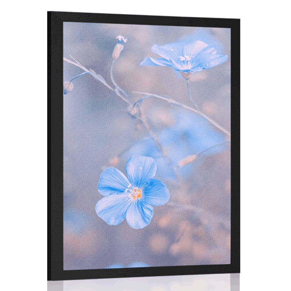 Plagát modré kvety na vintage pozadí