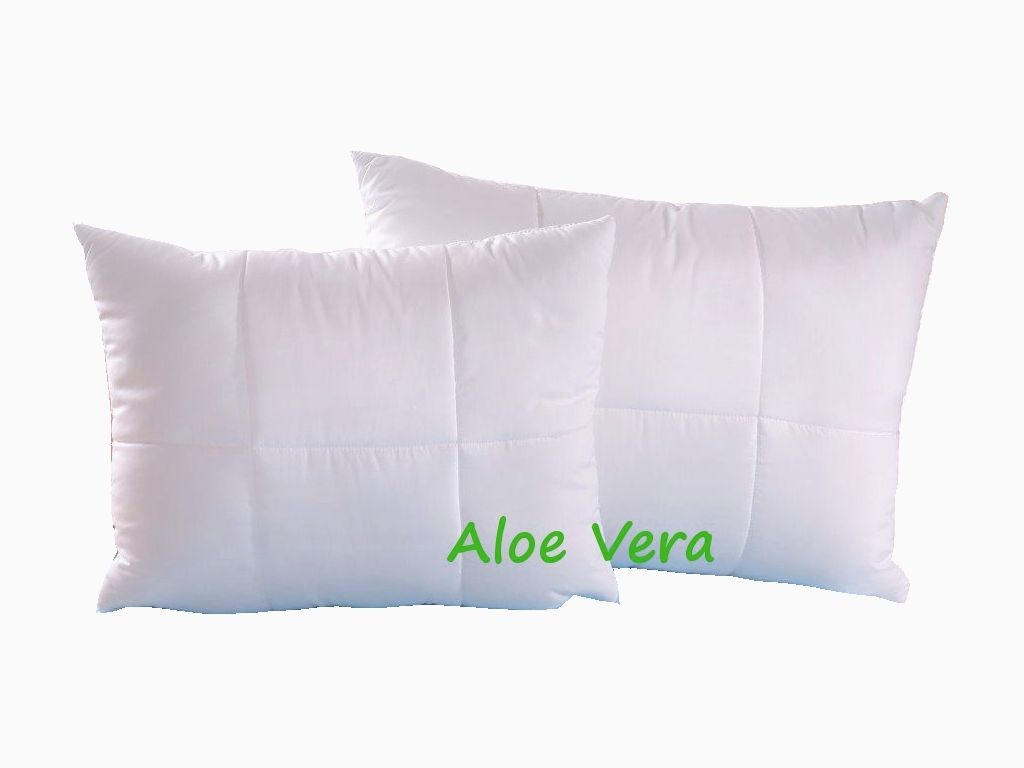 Brotex Vankúš Aloe vera 45x60 cm na zips