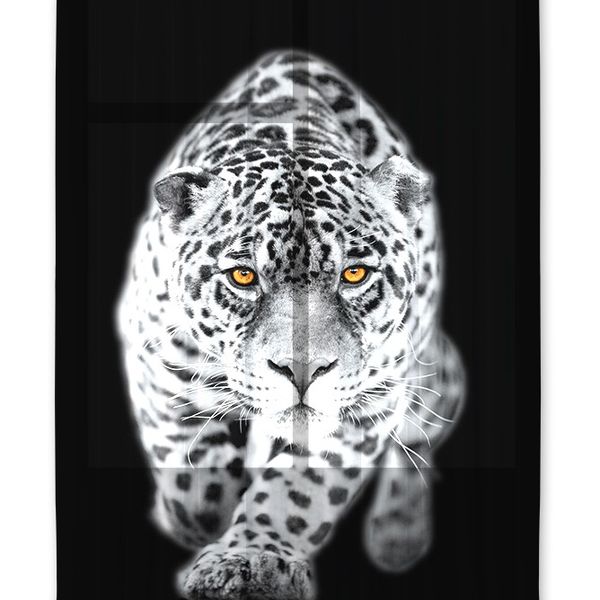 FCS L 7503 AG Design textilný foto záves obrazový Leopard FCSL 7503, veľkosť 140 x 245 cm
