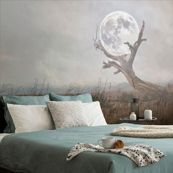 Samolepiaca tapeta mesiac v náručí prírody - 450x300