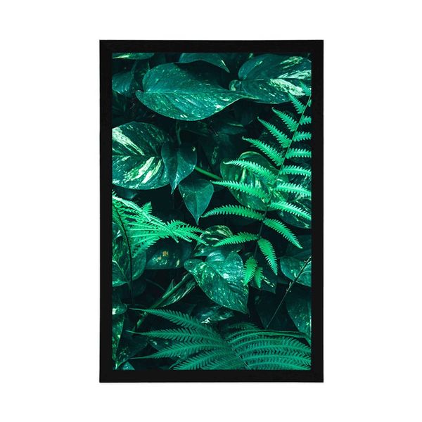 Plagát svieže tropické listy - 60x90 black